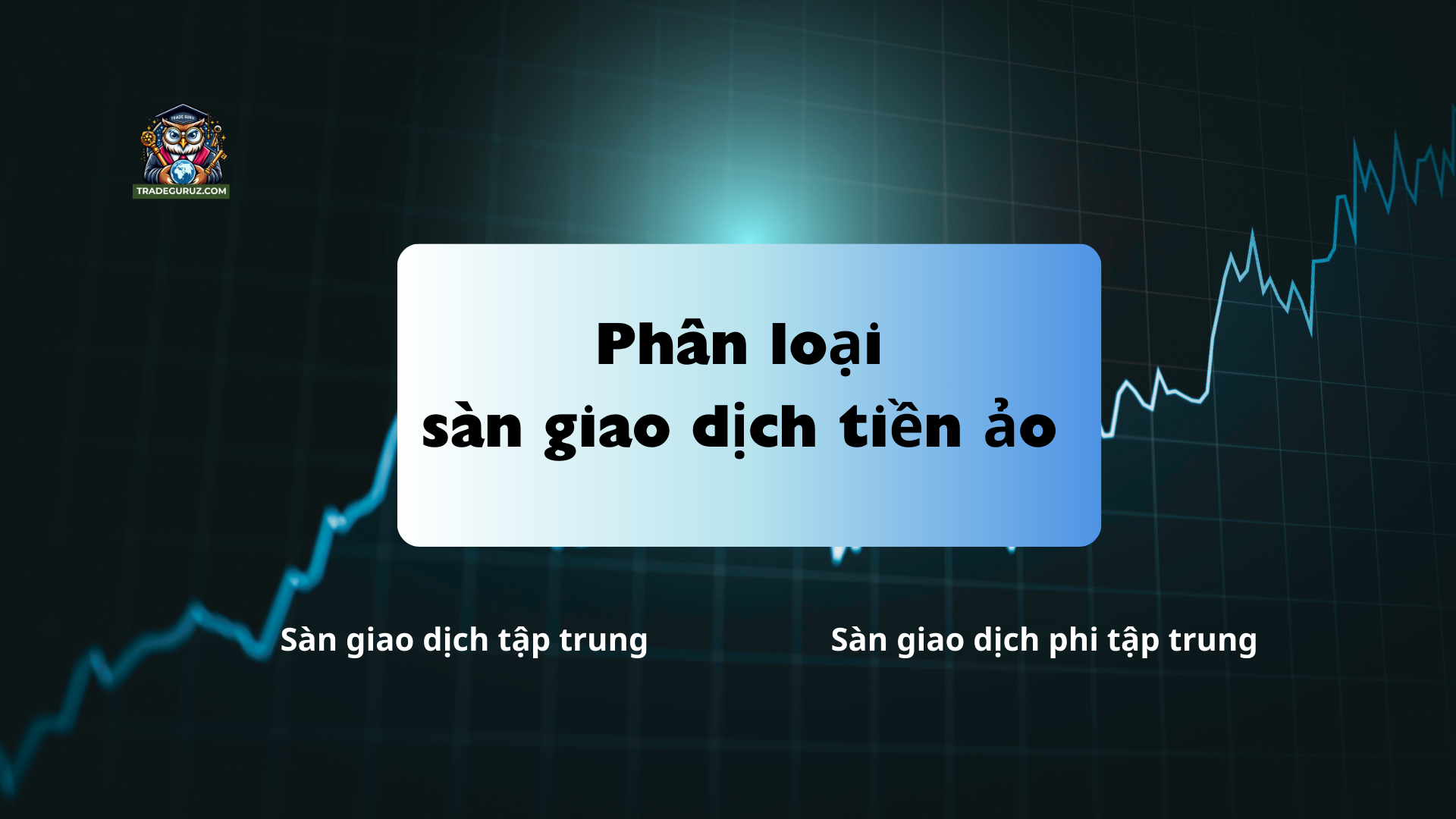 Sàn giao dịch tiền ảo là gì? Phân loại sàn